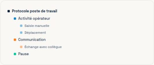 Schéma d'un protocole organisé en catégories et observables : activité opérateur, saisie manuelle, déplacement, communication et pause.