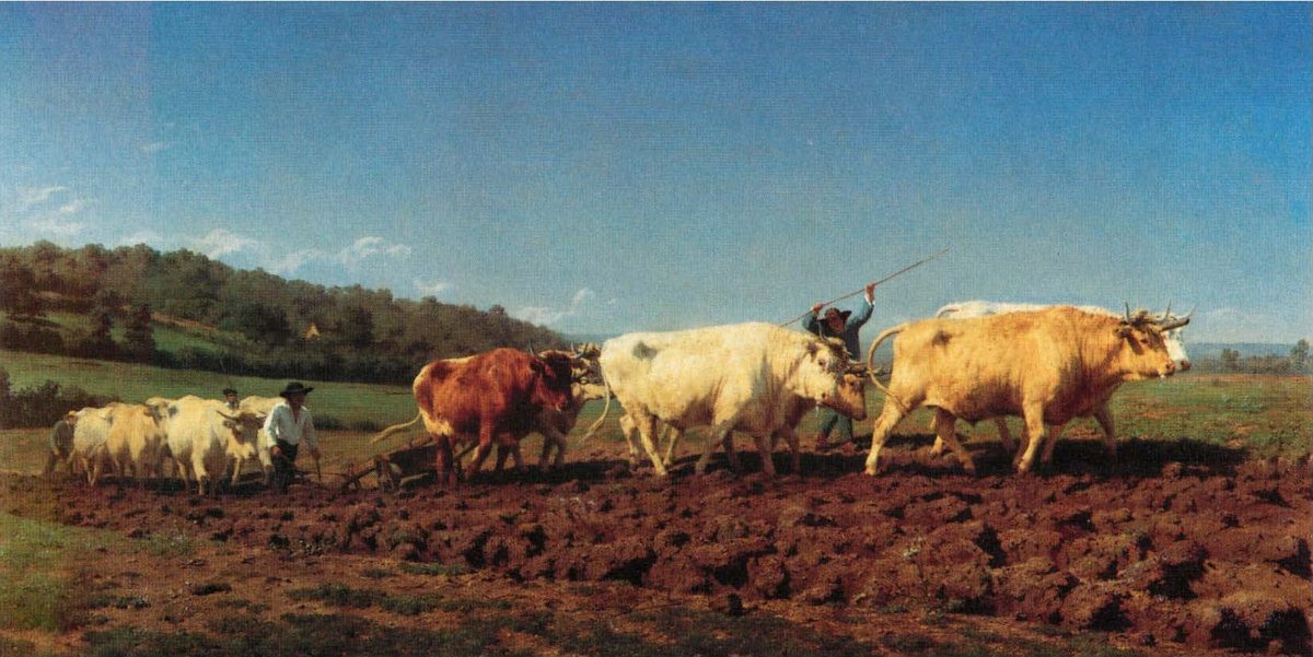 Rosa Bonheur, Labourage nivernais (1849) : des laboureurs conduisent deux attelages de bœufs dans un champ, sous un ciel clair.